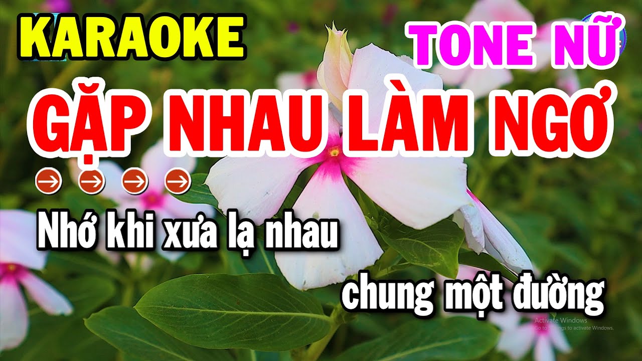 Karaoke Gặp Nhau Làm Ngơ Tone Nữ Nhạc Sống Cha Cha Mới Chuẩn Hay | Kho Nhạc Karaoke