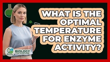 What Is The Optimal Temperature For Enzyme Activity?