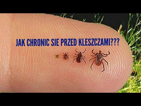 Wideo: Jak Chronić Zwierzęta Przed Kleszczami