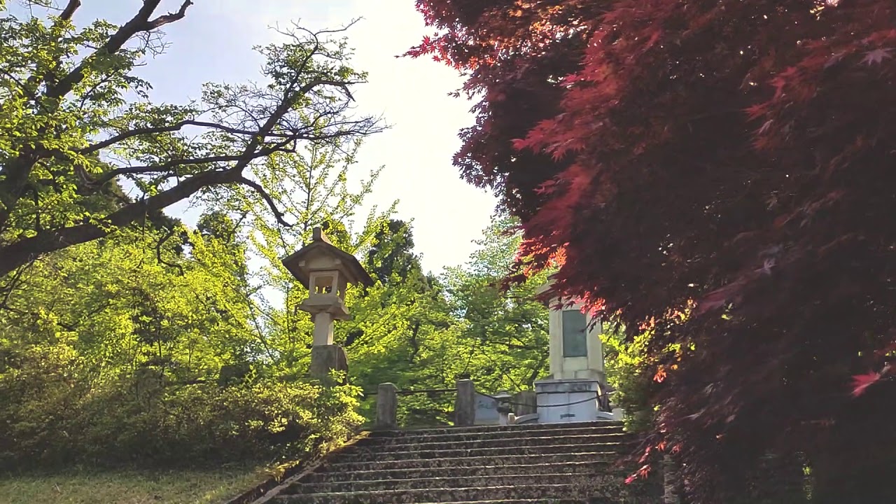 [Country view with chill music] Spring views of Japanese Countryside
