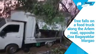 Tree falls on a food truck along the Arlem road, opposite Goa Bagayatdar Margao