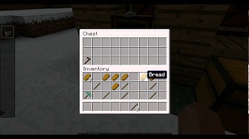 Awesome NPC Mod Showcase!!! 1.6.2