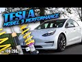 TESLA Model 3 Perfomance // KW V3+ Gewindefahrwerk & 100-200 km/h