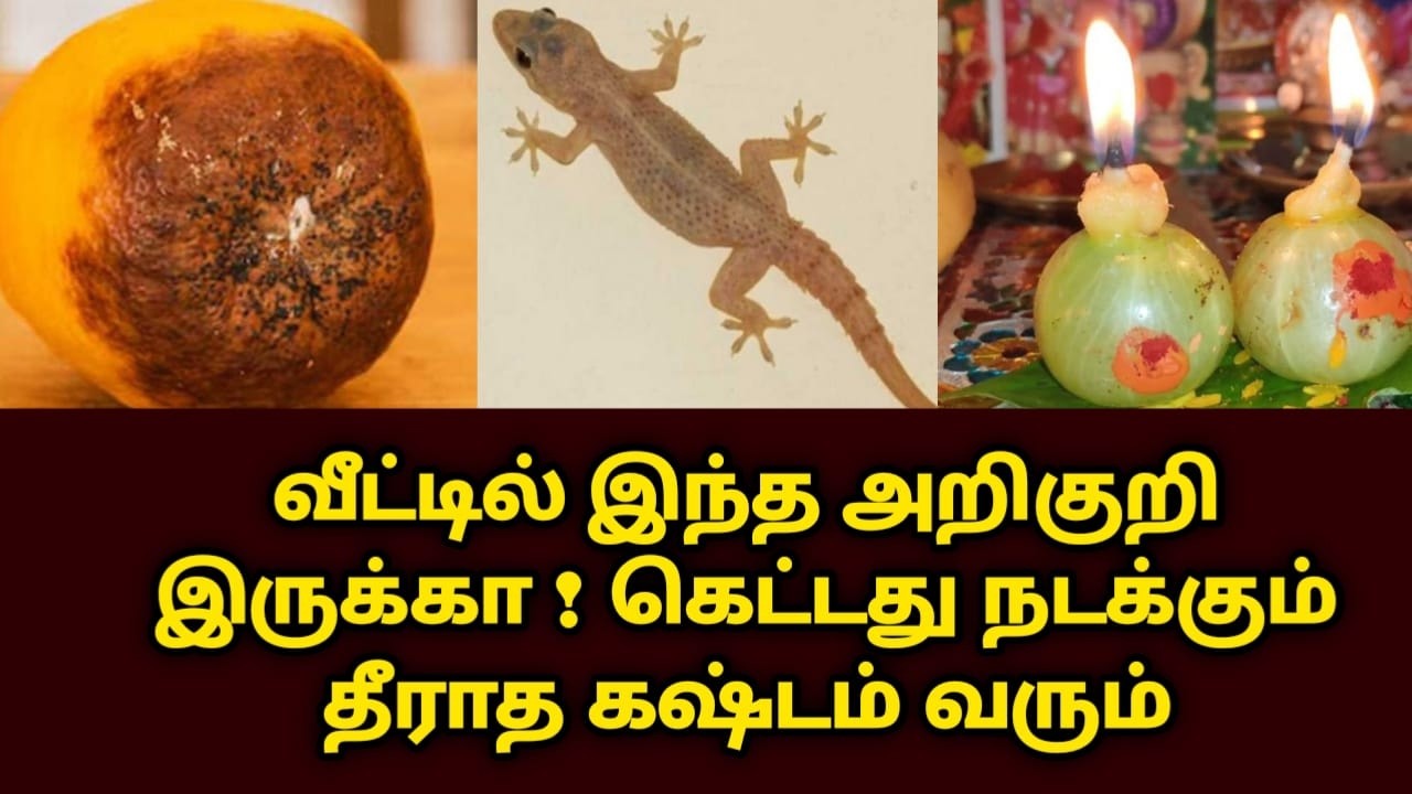 வீட்டில் இந்த அறிகுறி இருக்கா ! கெட்டது நடக்கும் தீராத கஷ்டம் வரும் ! உஷாரா இருங்க pallipalan #பல்லி