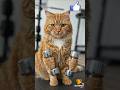 Earn Online Using AI Shorts 🤖 #cat #shorts #pets