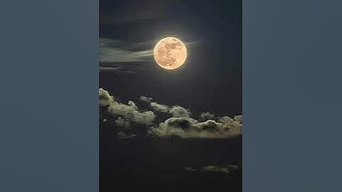 سورة آل عمران (98 : 101) ♥️