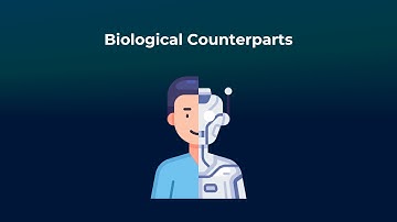 Biological Counterparts - Neurorobotics Studio Tutorials