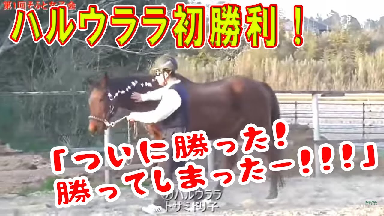 ハルウララ１００戦 栄光の柔馬たち】ハルウララ、馬生初勝利の瞬間！＜第1回そふと女子会