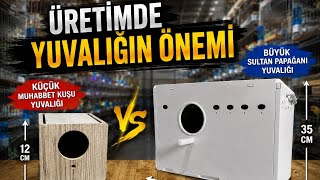 Üreti̇mde Yuvaliğin Önemi̇ ❗Çok Yazık⚠️👋🏻Şu