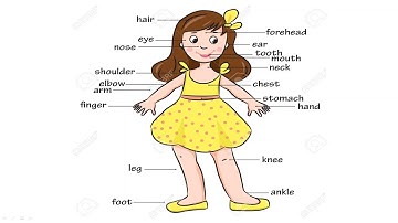 Class-1 EVS Topic-My Body