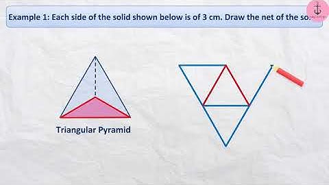Chapter 15 | Class 7 Maths | Visualising Solid Shapes