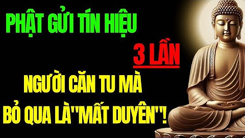 Phật Gửi Tín Hiệu 3 Lần, Người Căn Tu Mà Bỏ Qua Là “Mất Duyên”! | Tu Tâm Tĩnh Lặng