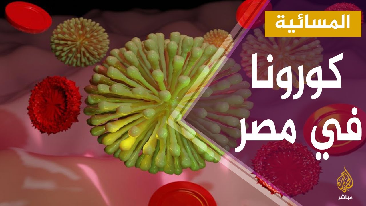 المسائية | مصر.. بعد الفول والشلولو.. برلماني مصري سابق يقترح عصير البرسيم علاجاً لفيروس كورونا