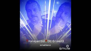 Ismail Deniz Kanayan Gul