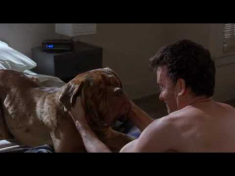 Turner & Hooch Bath Time