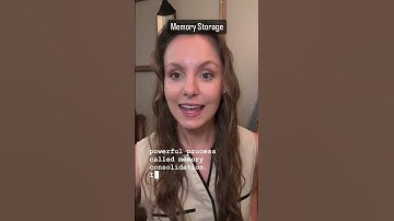 Memory Consolidation