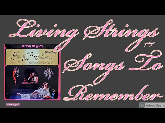 Living Strings - One Night Of Love