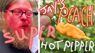 Jays Peach Ghost Scorpion Super Hot Chili Pepper Review