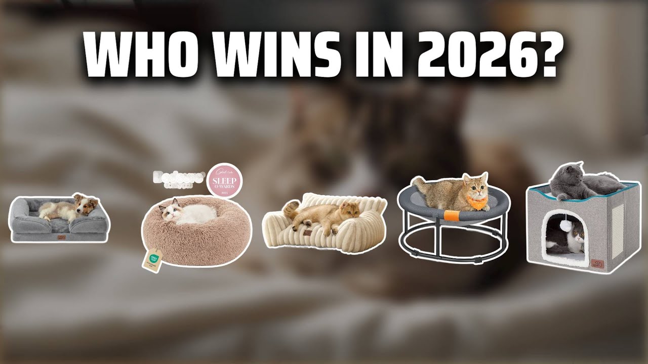The Top 5 Best Cat Side Bed in 2026 - Must Watch Before Buying!