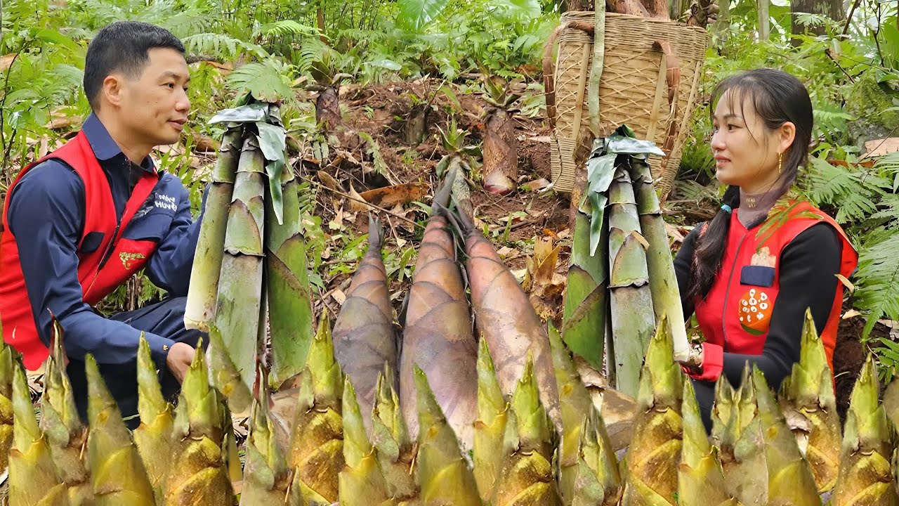 Harvesting Bamboo Shoots - Make Stuffed Bamboo Shoots with Meat and Scallion Kimchi | Ly Phuc An