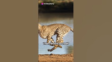 5 Mind Blowing Facts You Didn