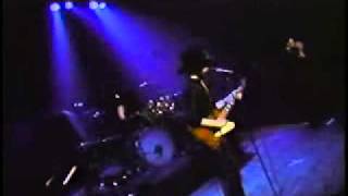 Johnny Winter - Sweet Papa John.flv