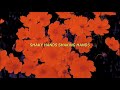 FENCES /// PRAIRIE TREMENS,,, SHAKY HANDS SHAKING HANDS at LOST PADRE RECORDS