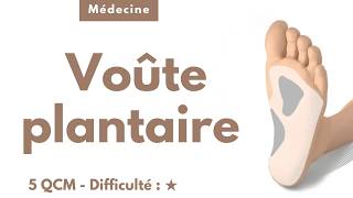 Voûte plantaire
