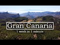 Exploring the Wild Beauty of Gran Canaria