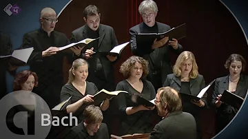J S Bach Motet BWV 227 Jesu Meine Freude Vocalconsort Berlin HD 