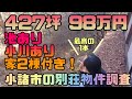 池あり小川あり家2棟付き！軽井沢に程近い長野県小諸市の427坪98万円の物件を調査！この土地を別荘にして自給自足の山生活は可能か！？#11【理想の土地探し】