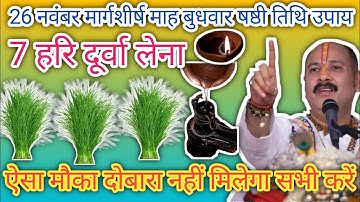 26 नवंबर बुधवार मार्गशीर्ष माह षष्ठी तिथि को 7 दूर्वा का उपाय अवश्य करें ll @PanditPradeepMishraji 