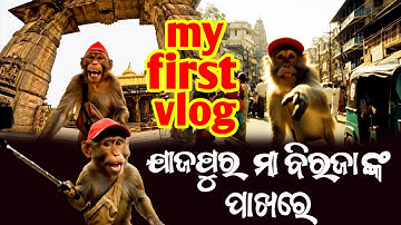 ମୋର ପ୍ରଥମ ବ୍ଲଗ II Jajpur Town II Odia Monkey Vlogger II My First Vlog#monkeyvlog #odiamonkeyvlogger