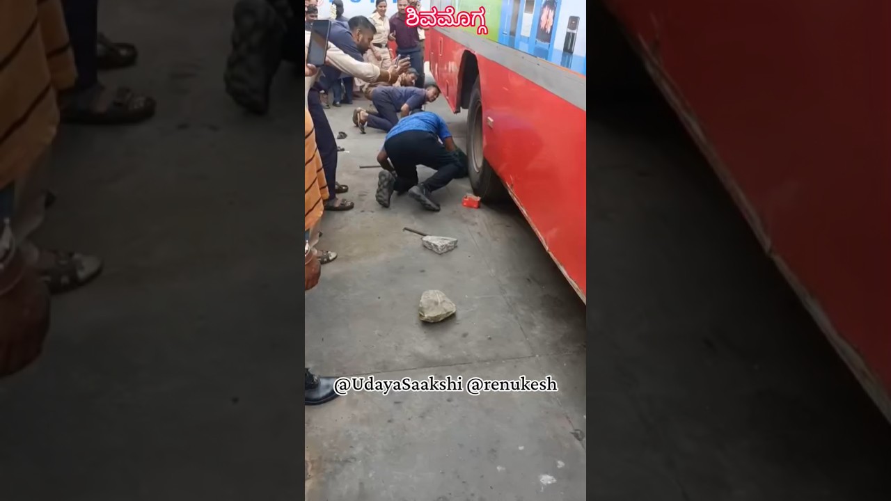 shimoga KSRTC bus | ಶಿವಮೊಗ್ಗ | ಸರ್ಕಾರಿ ಬಸ್ ಟೈರ್ ನಲ್ಲಿ ಕೆರೆ ಹಾವು! #shimoga #shivamogga #news #snake