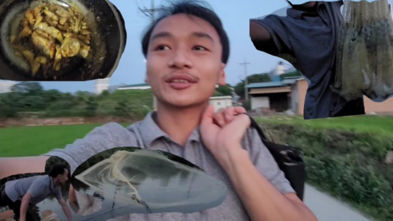 Korean ko khola ma machha  mardai 🐟🐠  at south Korea  🇰🇷🇰🇷