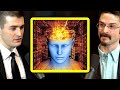 The mind-expanding possibilities of Neuralink | Matthew Johnson and Lex Fridman