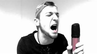 Crazy Frog - Axel F Metal and Vocal Cover