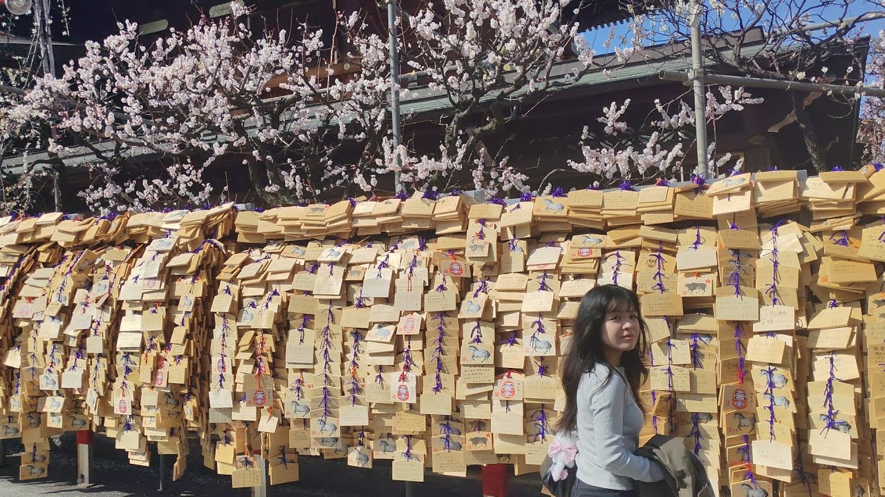 Alberi di susino, preghiere, cibo, compleanno e tanto altro.... IN GIAPPONE. 