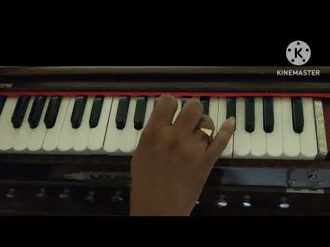 Gazal Style Harmonium practice