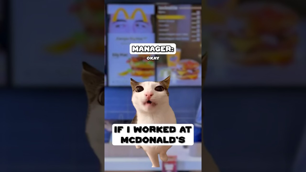 Если бы я работал в Макдоналдсе 😅 ЧАСТЬ 2 (ВЕРСИЯ С КОШКАМИ🐈) @JosiahSchneider