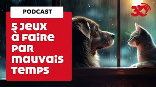 PODCAST - 5 jeux pour occuper son animal par mauvais temps