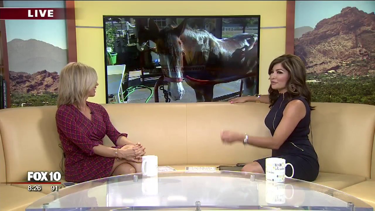 Cory's Corner Clydesdale Preservation Foundation YouTube