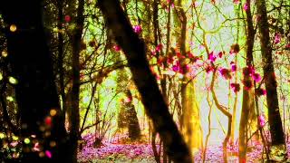 Starskee - Calling Autumn Mix