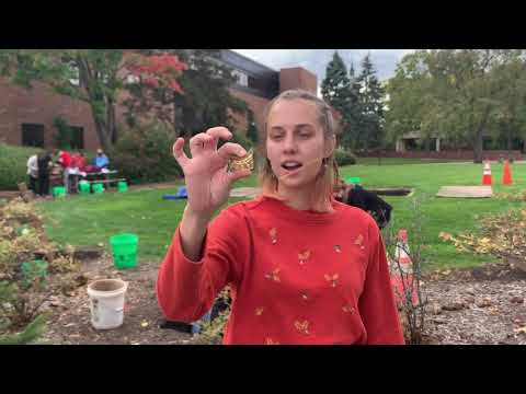HU Archaeology Lesson 3: Screening and Making Inferences