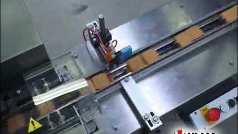 Biscuits packaging in flow pack wrapper (HFFS)