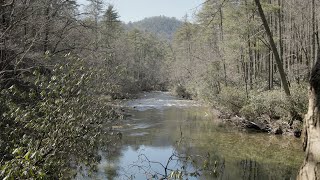 Land Beside The Water | Episode 03 | Burrells Ford Recreational Area
