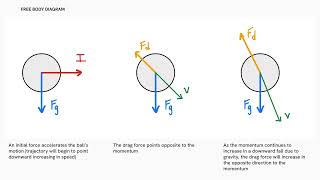 PHYS 2211 Lab 2: Projectile Motion