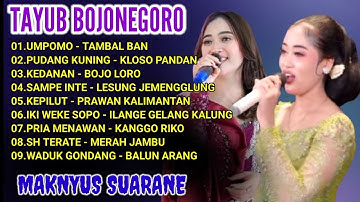 TAYUB BOJONEGORO TERBARU 2025