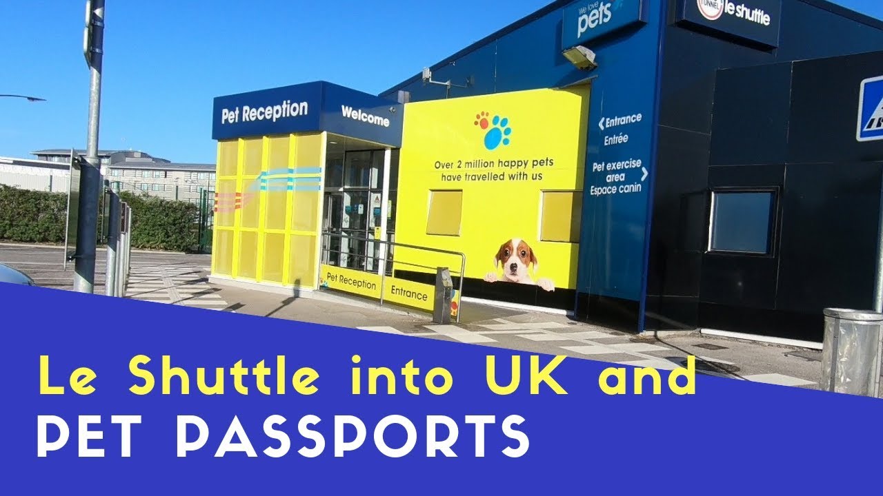 Back Into UK On Eurotunnel And Pet Passport Control Euro Trip 2018 Pt20 YouTube
