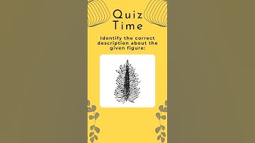 Kya aapka jawab sahi tha? Dekho correct answer video ke end mein ✅🔍#neet #Vedclass #youtubeshorts